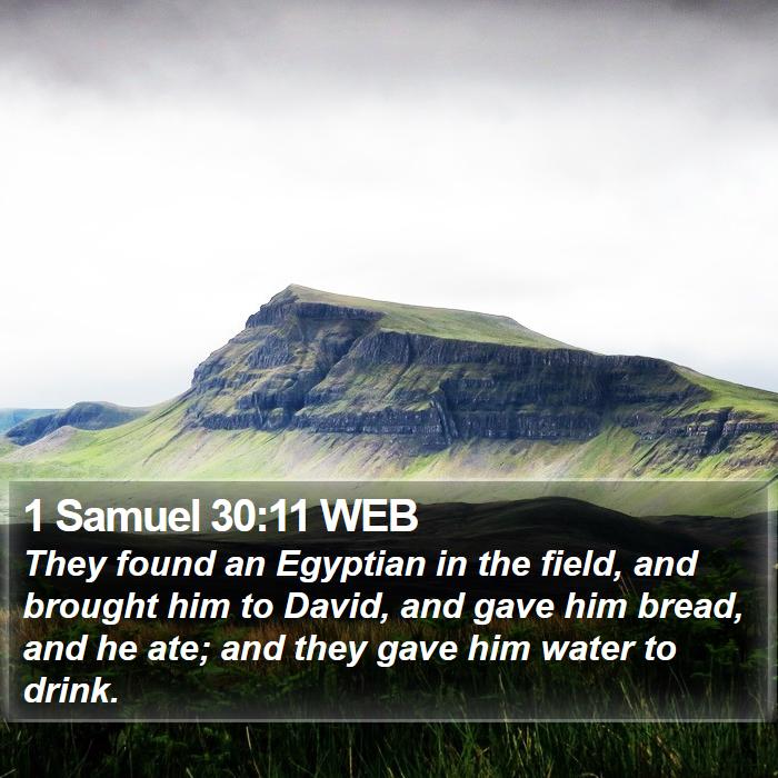 1 Samuel 30:11 WEB Bible Study