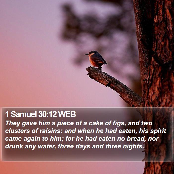 1 Samuel 30:12 WEB Bible Study