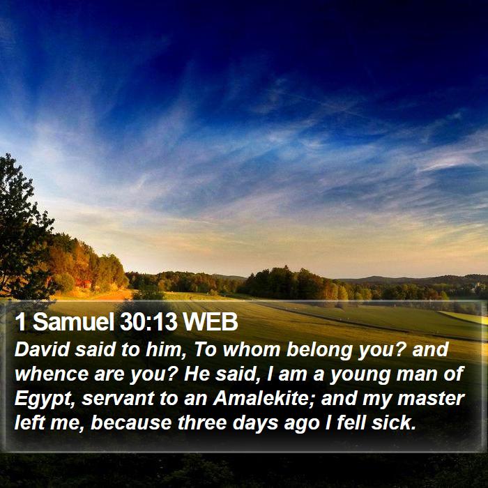 1 Samuel 30:13 WEB Bible Study