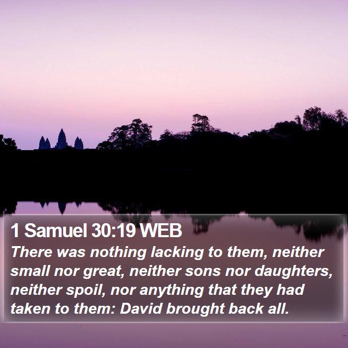 1 Samuel 30:19 WEB Bible Study