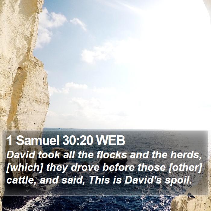 1 Samuel 30:20 WEB Bible Study