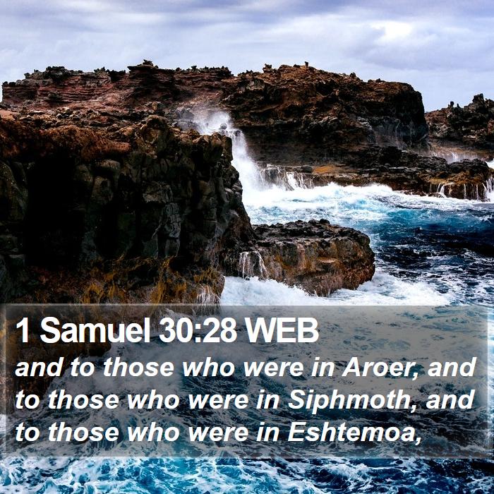 1 Samuel 30:28 WEB Bible Study