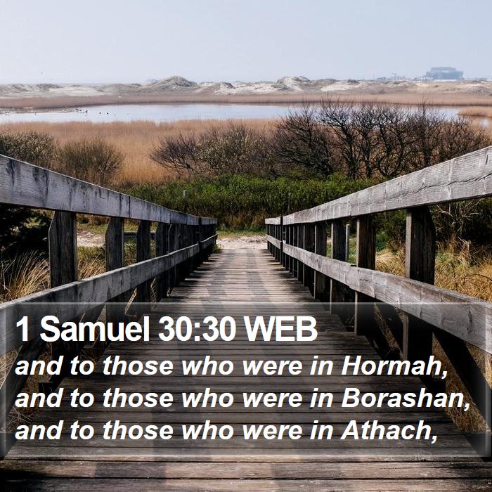 1 Samuel 30:30 WEB Bible Study