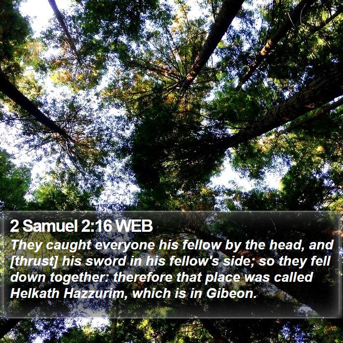 2 Samuel 2:16 WEB Bible Study