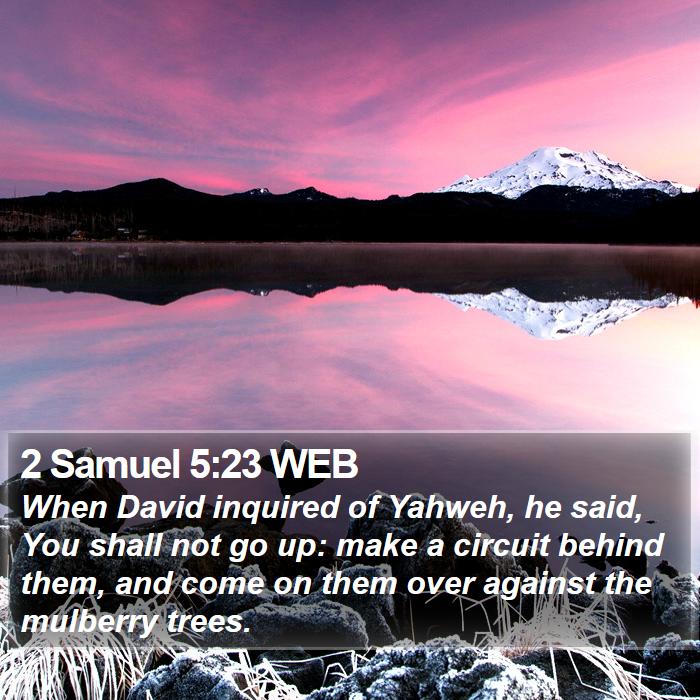 2 Samuel 5:23 WEB Bible Study