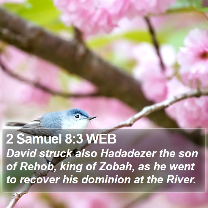 2 Samuel 8:3 WEB Bible Study