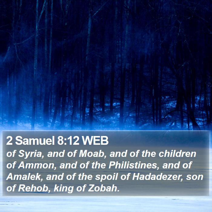 2 Samuel 8:12 WEB Bible Study