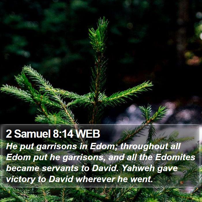 2 Samuel 8:14 WEB Bible Study