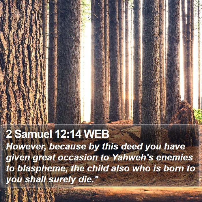 2 Samuel 12:14 WEB Bible Study