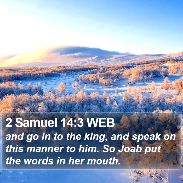 2 Samuel 14:3 WEB Bible Study