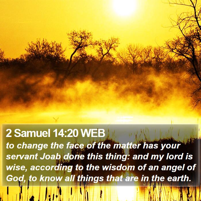 2 Samuel 14:20 WEB Bible Study