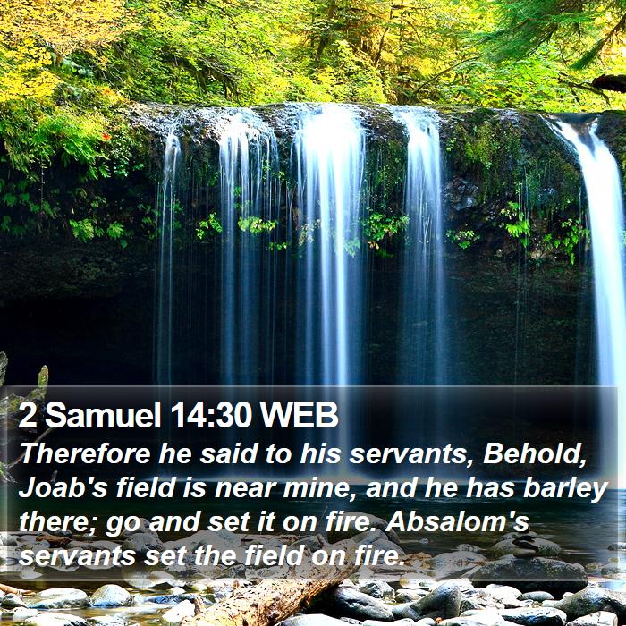 2 Samuel 14:30 WEB Bible Study