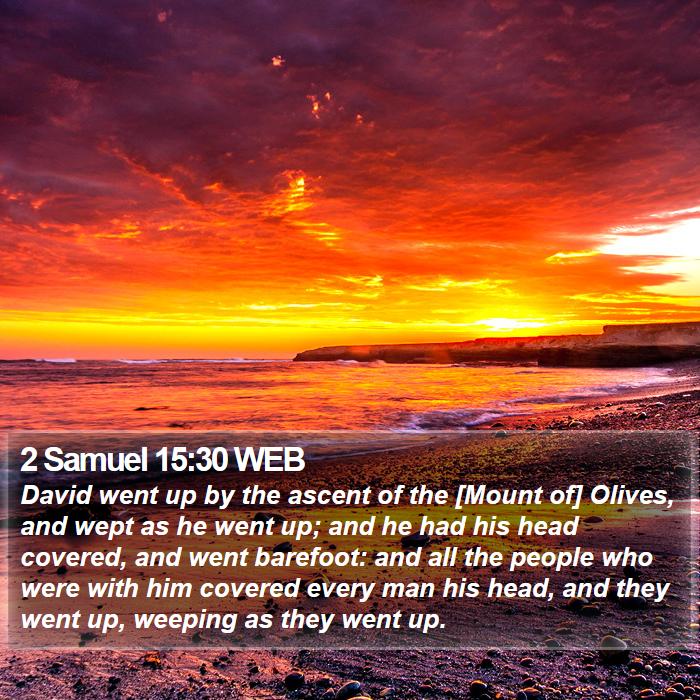 2 Samuel 15:30 WEB Bible Study