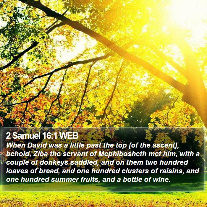 2 Samuel 16:1 WEB Bible Study