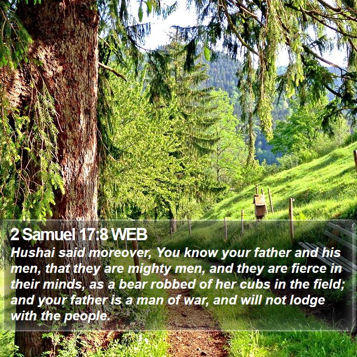 2 Samuel 17:8 WEB Bible Study