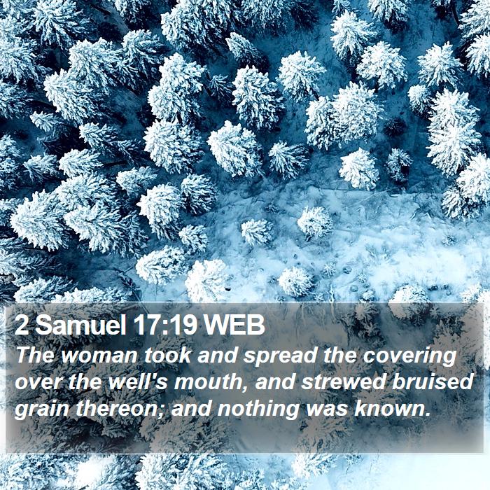 2 Samuel 17:19 WEB Bible Study