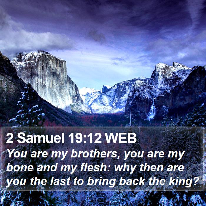 2 Samuel 19:12 WEB Bible Study