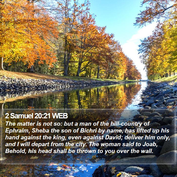 2 Samuel 20:21 WEB Bible Study