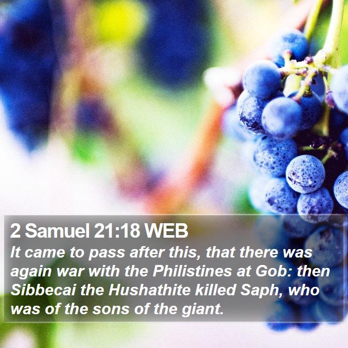 2 Samuel 21:18 WEB Bible Study