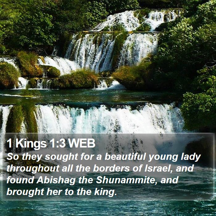 1 Kings 1:3 WEB Bible Study