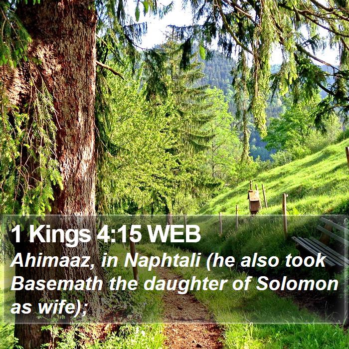 1 Kings 4:15 WEB Bible Study