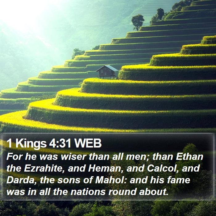 1 Kings 4:31 WEB Bible Study