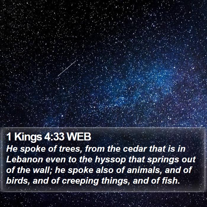 1 Kings 4:33 WEB Bible Study