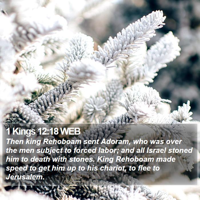 1 Kings 12:18 WEB Bible Study