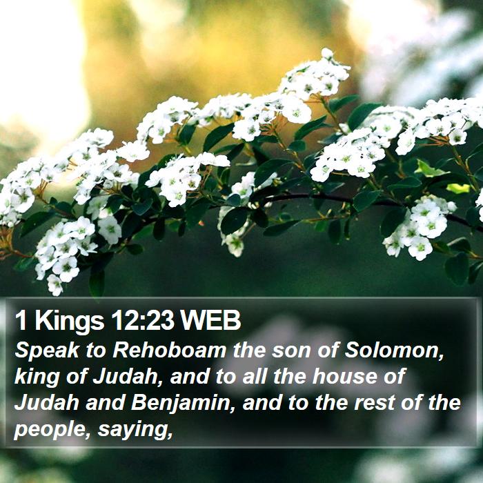 1 Kings 12:23 WEB Bible Study