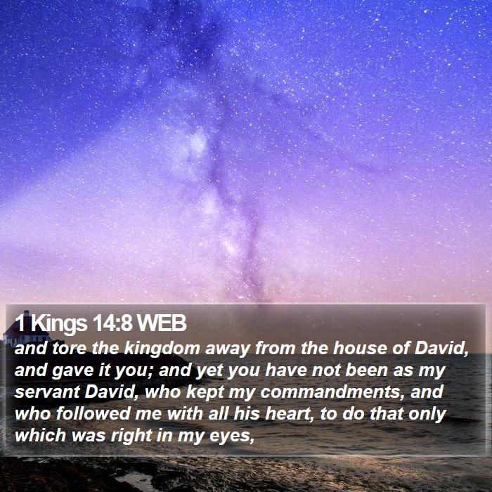 1 Kings 14:8 WEB Bible Study