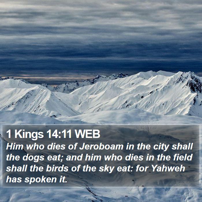 1 Kings 14:11 WEB Bible Study