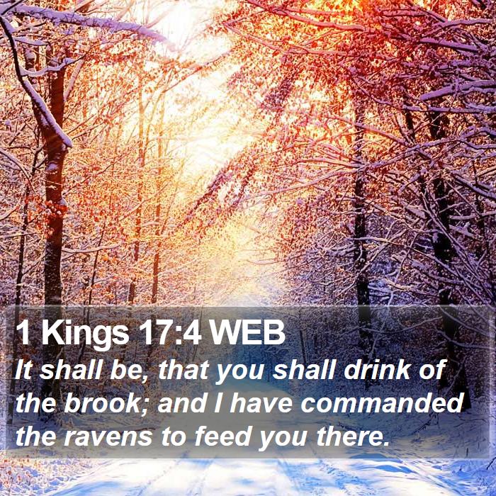 1 Kings 17:4 WEB Bible Study