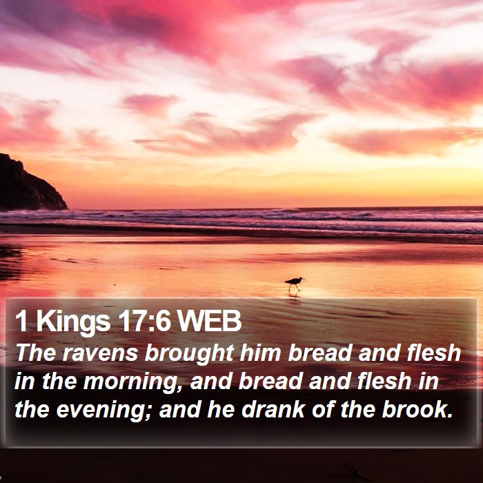 1 Kings 17:6 WEB Bible Study