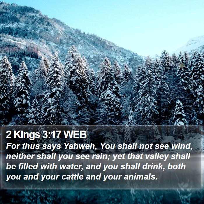 2 Kings 3:17 WEB Bible Study