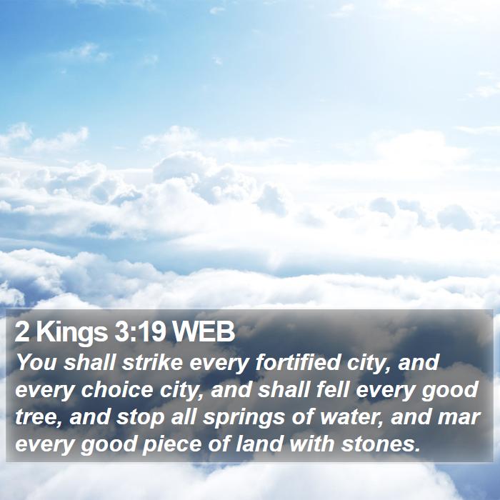 2 Kings 3:19 WEB Bible Study