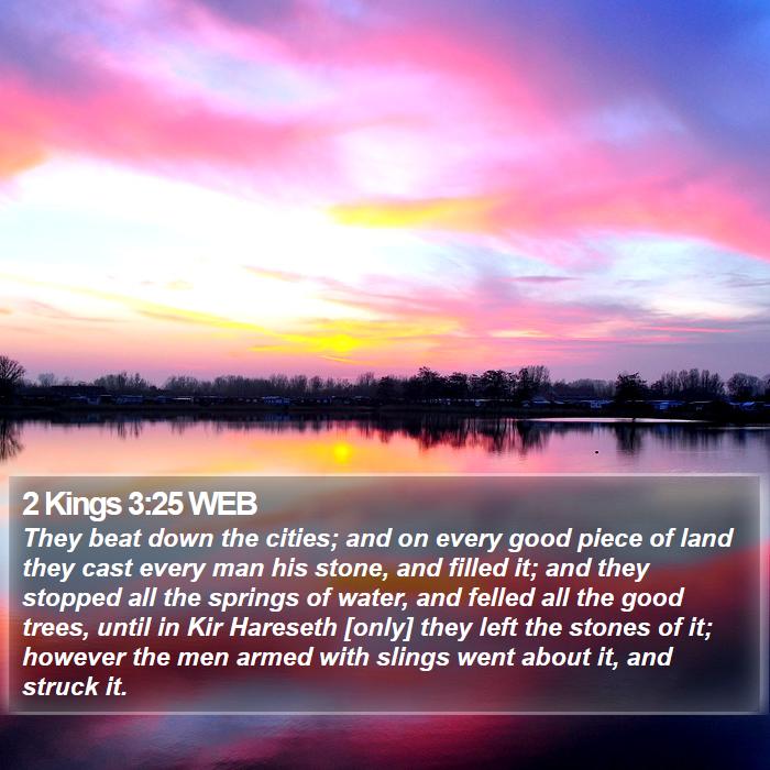 2 Kings 3:25 WEB Bible Study