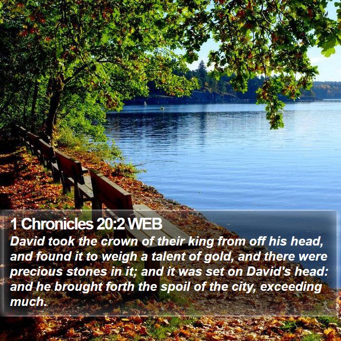 1 Chronicles 20:2 WEB Bible Study