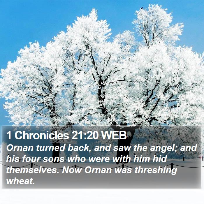 1 Chronicles 21:20 WEB Bible Study