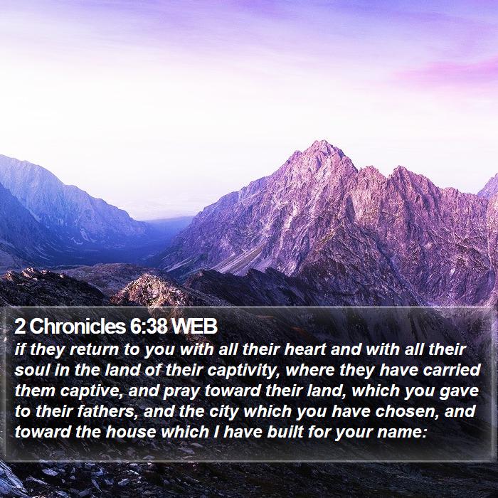 2 Chronicles 6:38 WEB Bible Study