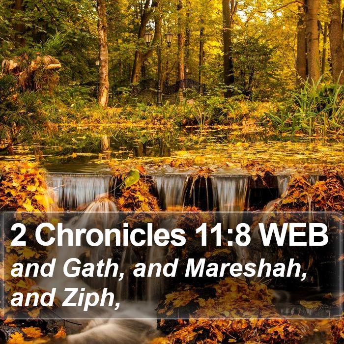 2 Chronicles 11:8 WEB Bible Study