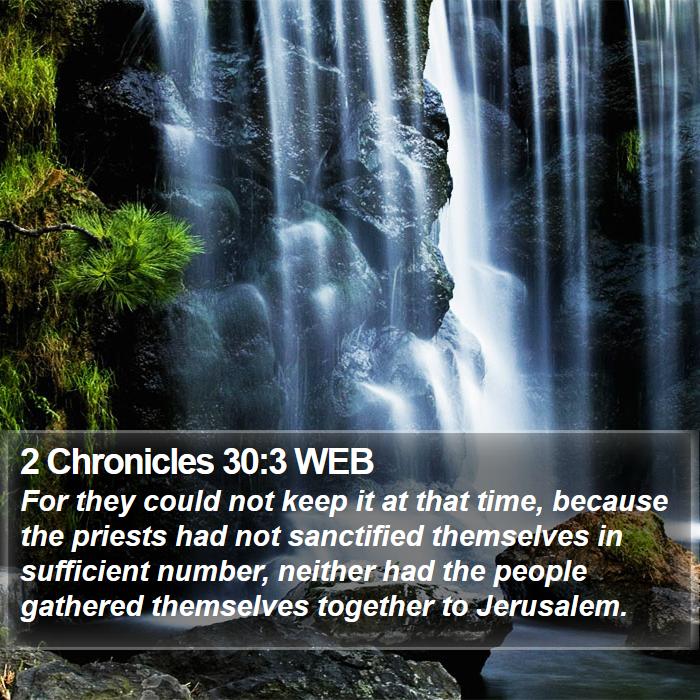 2 Chronicles 30:3 WEB Bible Study