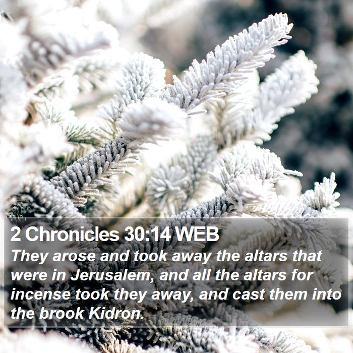 2 Chronicles 30:14 WEB Bible Study