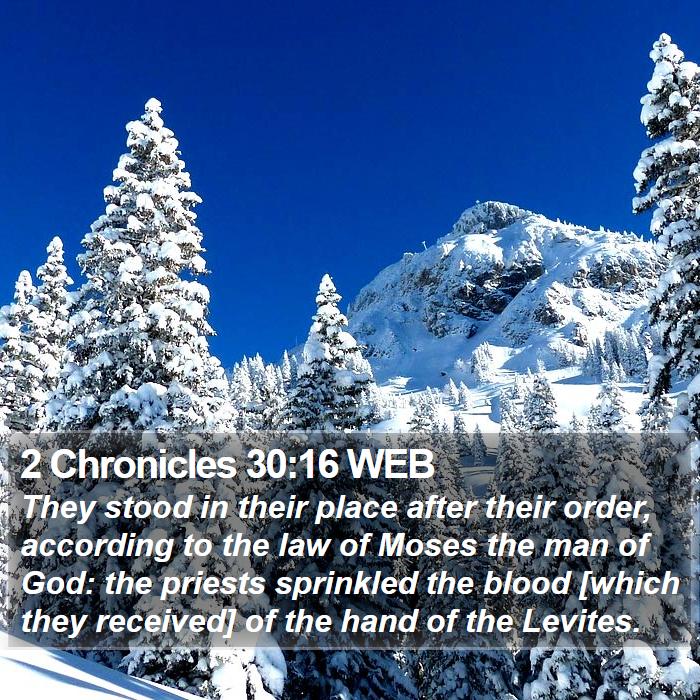 2 Chronicles 30:16 WEB Bible Study