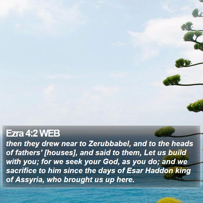 Ezra 4:2 WEB Bible Study