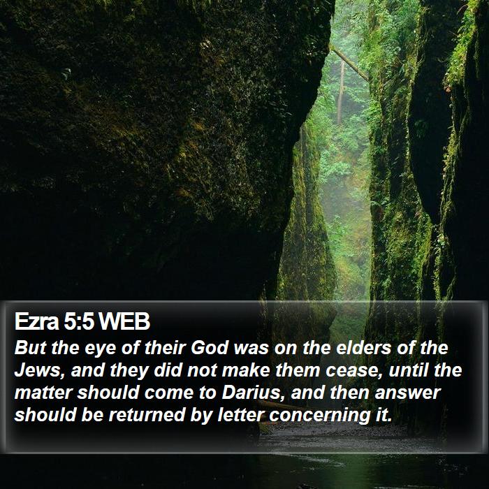 Ezra 5:5 WEB Bible Study