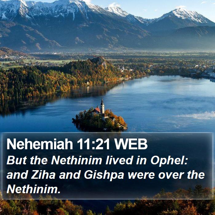 Nehemiah 11:21 WEB Bible Study