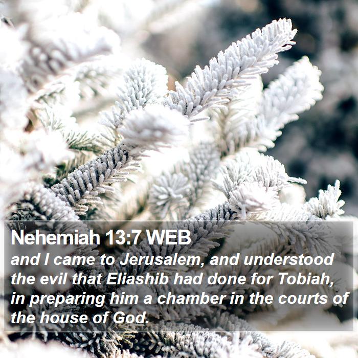 Nehemiah 13:7 WEB Bible Study