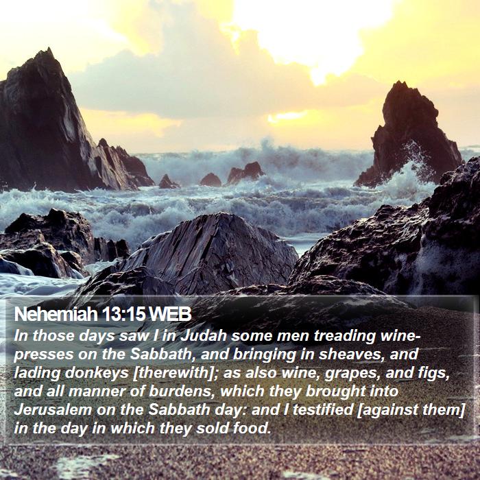 Nehemiah 13:15 WEB Bible Study