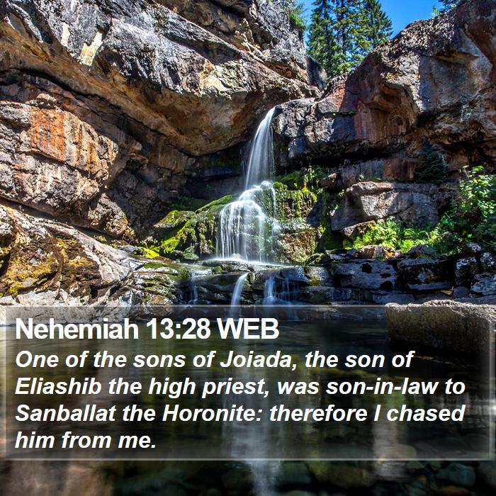 Nehemiah 13:28 WEB Bible Study