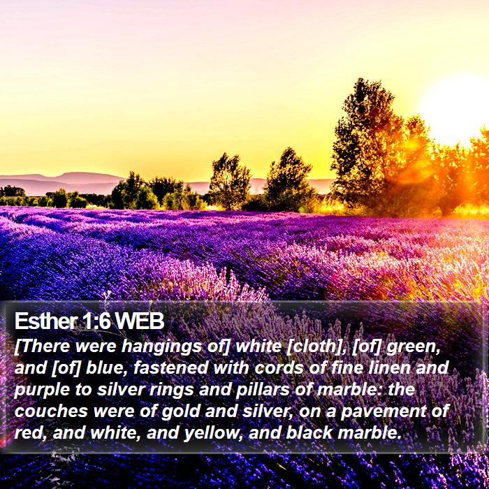 Esther 1:6 WEB Bible Study